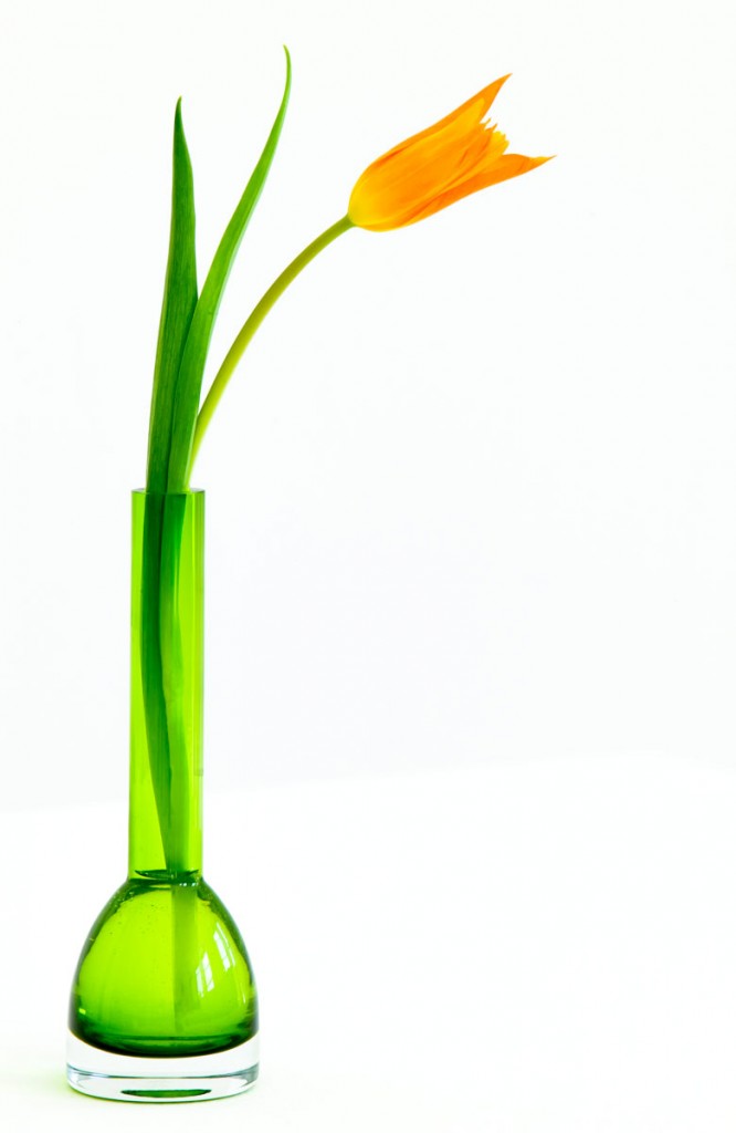 flower-in-green-vase